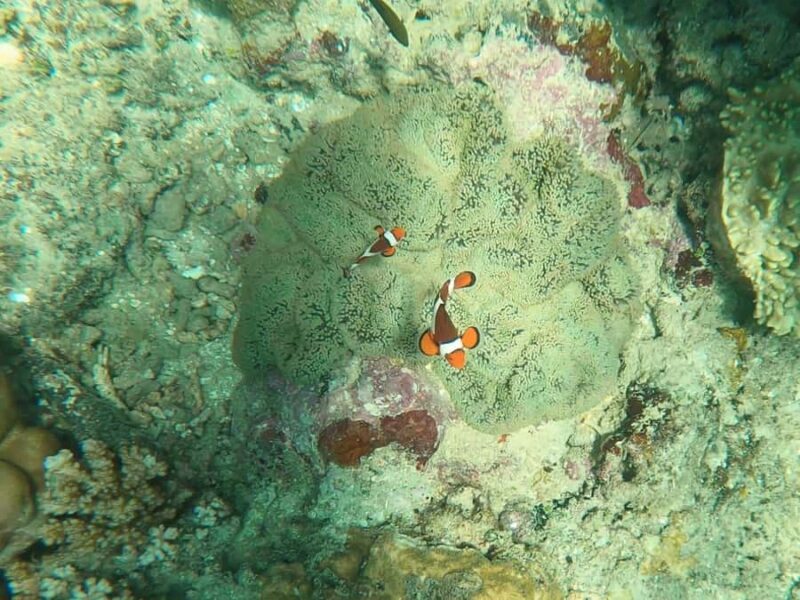 Catanduanes in 7 days: highlights, island tour, and relaxation - Practical Aspects: What Travelers Should Know