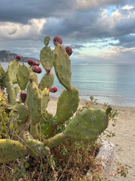 Catania Airport: Shuttle Transfer to Taormina - Travel Tips for Taormina