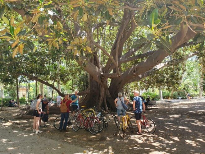 Catania Bike Tour With Tasting Food - Inclusions