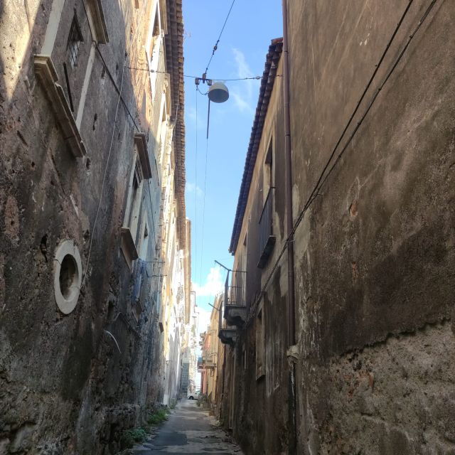 Catania City Highlights Walking Tour - English or French - - Who Will Love This Tour?  