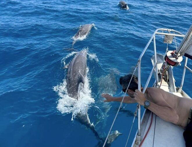 Catania: Cyclops Coast Sailboat Tour With Snorkel & Prosecco - Review Summary