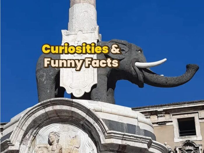 Catania: Digital Guide Made With a Local for Your Tour - Positive Customer Feedback