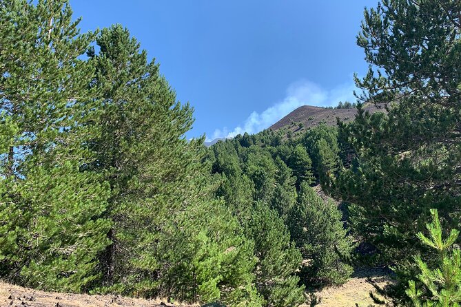 Catania: Etna & Food Jeep Tour - Date and Travelers