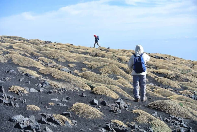 Catania: Etna Full-Day Trekking with Hotel Pickup - Good To Know