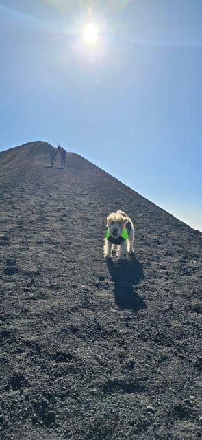 Catania: Etna Tour in the Morning - Tips for Your Mount Etna Adventure