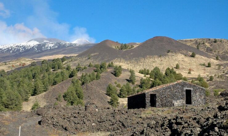 Catania: Full Circuit of Etna in MTB - Booking Information