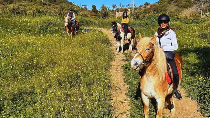 Catania: Guided Horseback Ride in Misterbianco Countryside - Good To Know