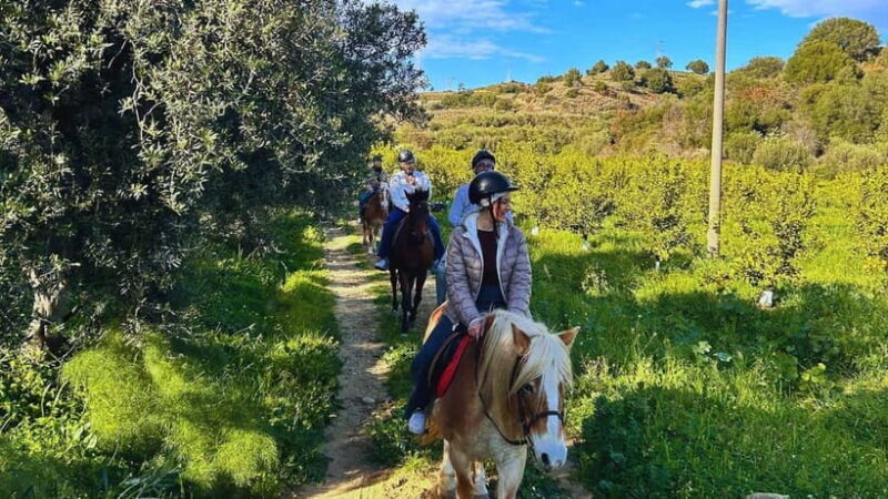 Catania: Guided Horseback Ride in Misterbianco Countryside - An In-Depth Look at the Mistubishi Countryside Horseback Ride