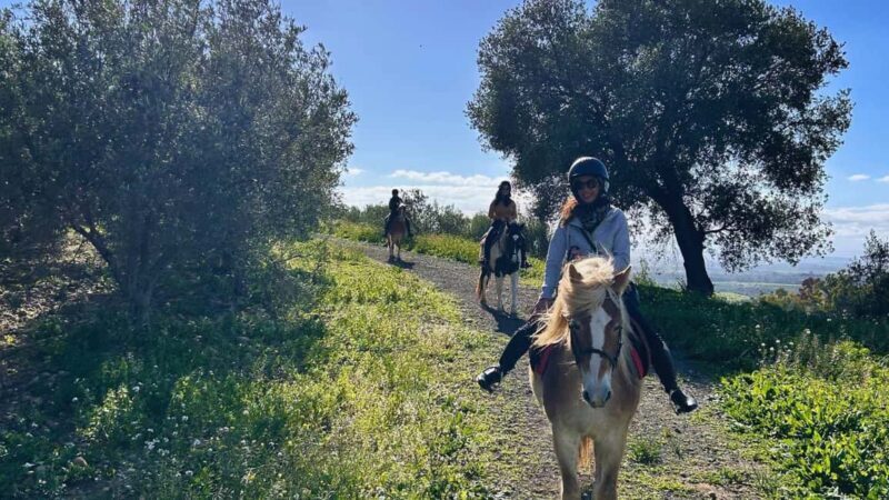 Catania: Guided Horseback Ride in Misterbianco Countryside - FAQ