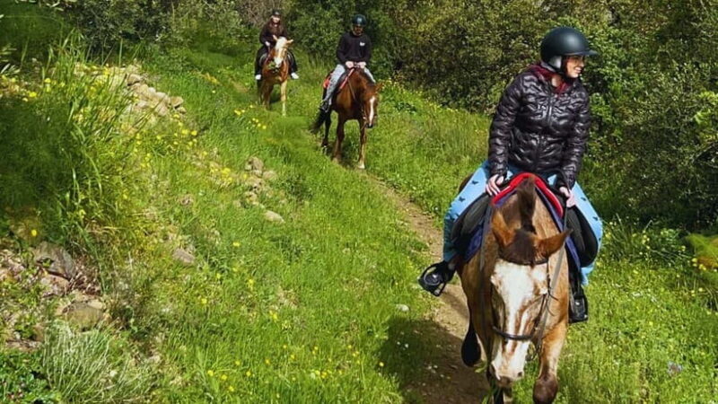 Catania: Guided Horseback Ride in Misterbianco Countryside - Final Summary