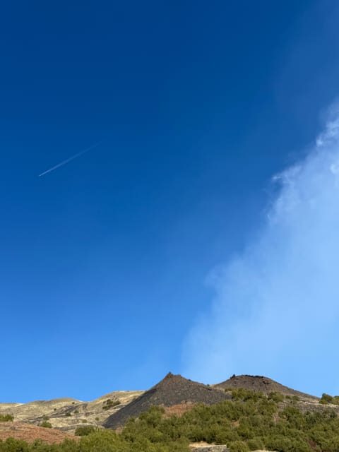 Catania: Mount Etna Morning Jeep/Van Tour - What Makes This Tour Stand Out