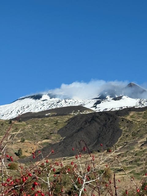 Catania: Mount Etna Morning Jeep/Van Tour - Practical Tips for Your Trip