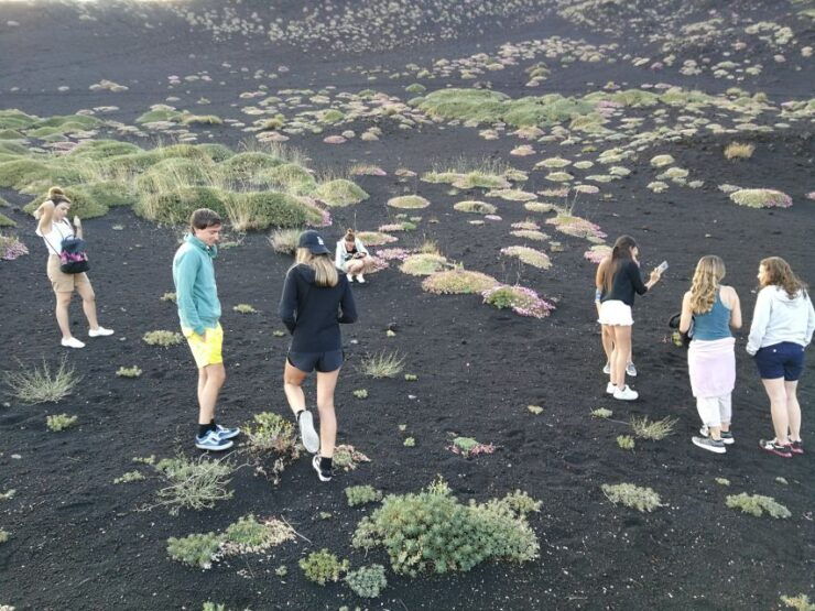 Catania: Mount Etna Tour With Cruise - Tour Overview