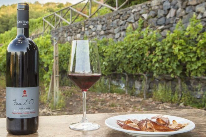 Catania: Mt. Etna Private Tour With Food and Wine Tasting - Tour Experience and Transportation