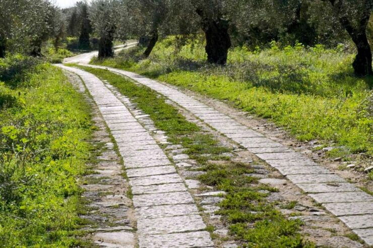 Catania: Pozzo Di Gaspare Farm Guided Tour With Tastings - Tour Highlights