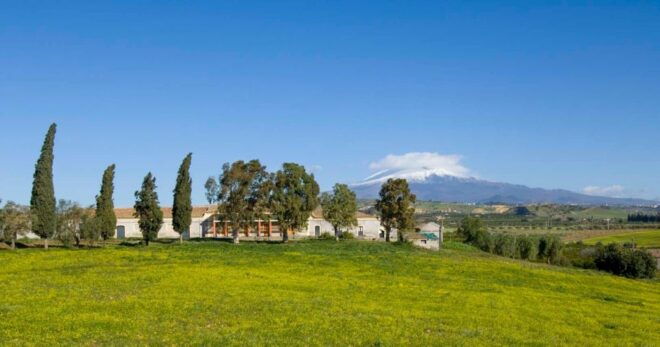 Catania: Pozzo Di Gaspare Farm Guided Tour With Tastings - Frequently Asked Questions