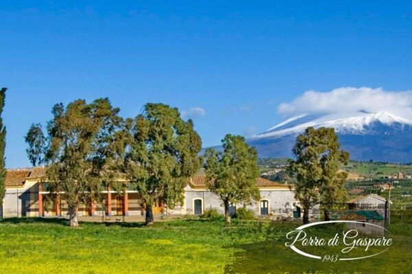 Catania: Pozzo Di Gaspare Farm Guided Tour With Tastings - The Sum Up