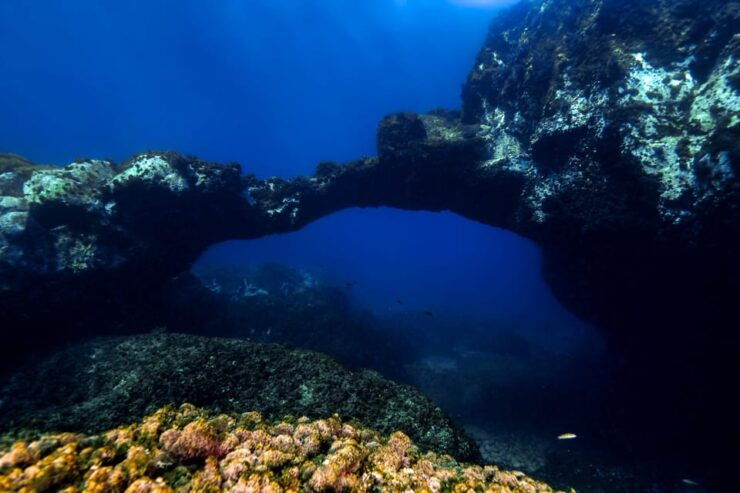 Catania: Scuba Diving Experience - Good To Know