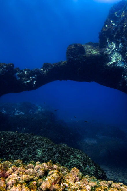 Catania: Scuba Diving Experience - Unique Highlights