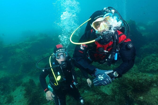 Catania: Scuba Diving Experience - Exploring Underwater Lava Fields