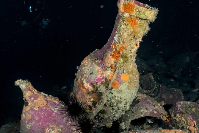 Catania: Scuba Diving Experience - Common Questions