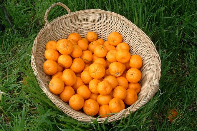 Catania - Street Food Tour - The Sum Up