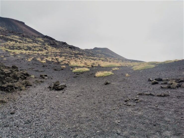 Catania/Taormina: Mount Etna Private Jeep Tour - Tour Highlights