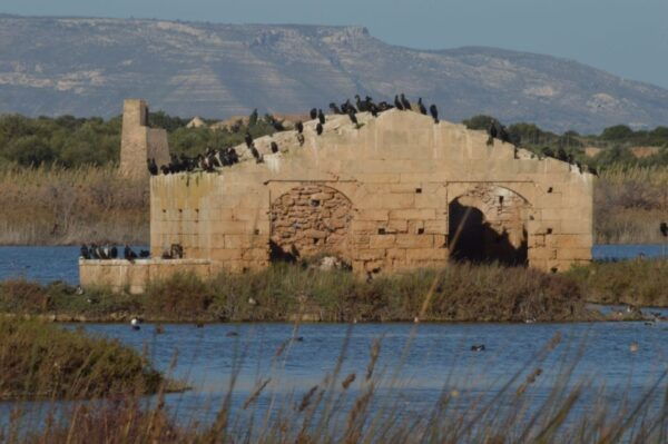 Catania: Vendicari, Marzamemi and Noto Day Trip - Inclusions in the Package