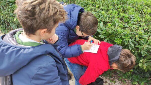Catania&Mount Etna: Private Guided Family-Friendly Tour - The Sum Up
