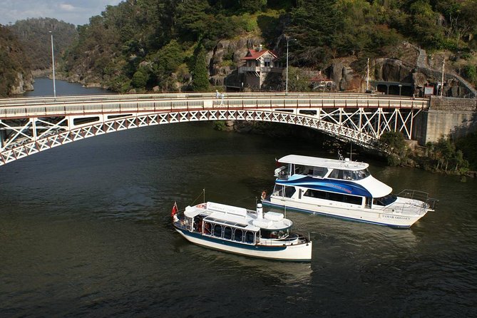 Cataract Gorge Cruise 12:30 Pm - Sightseeing and Learning Combined