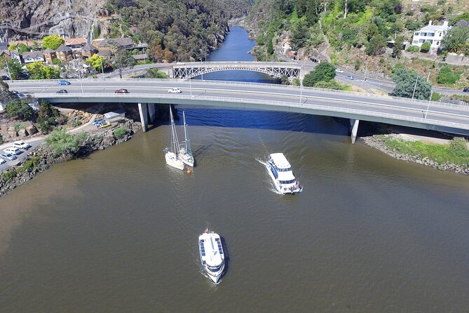 Cataract Gorge Cruise 4:30 Pm - Afternoon Boat Tour Experience