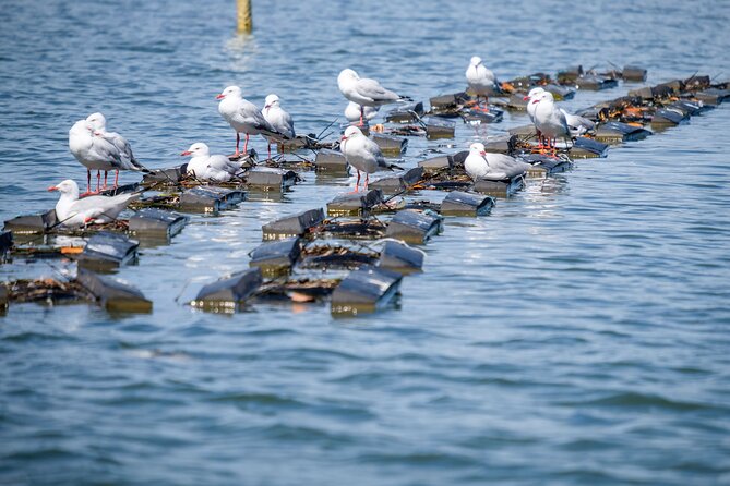 Catch a Crab Tour With Optional Seafood Lunch - Directions