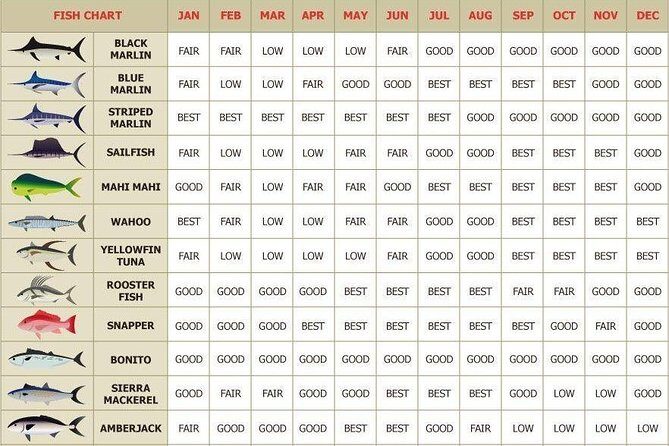 Catch the big one in Cabo! All inclusive fishing! - Who Will Love This Tour?