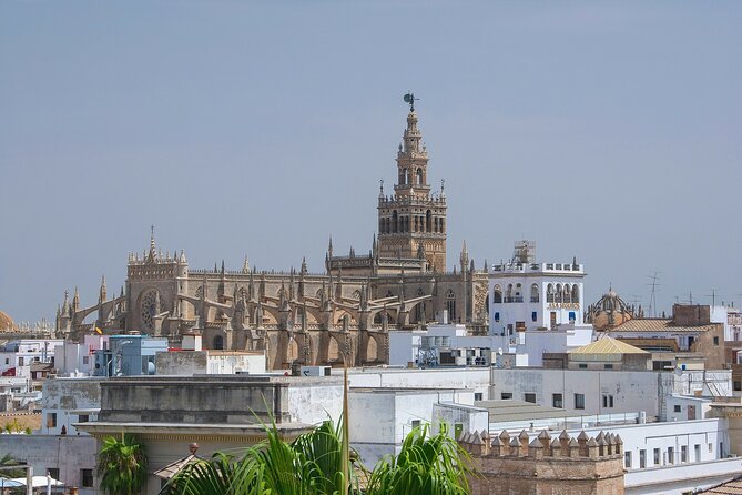 Catedral De Sevilla English Guided Tour Con Acceso Rápido Y Entrada a La Giralda - Tour Guide Experiences and Expertise