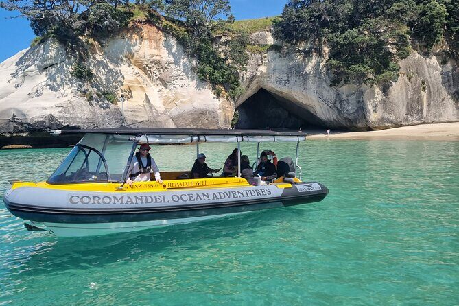 Cathedral Cove 2 Hour Guided Tour Explore Marine Wonders - Good To Know