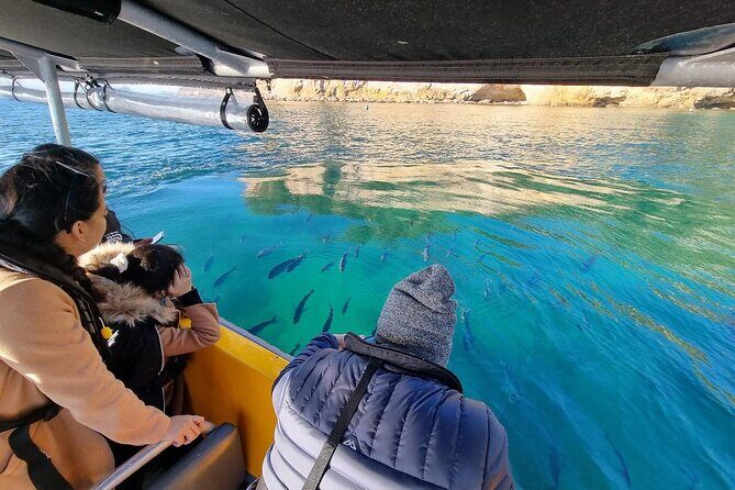 Cathedral Cove 2 Hour Guided Tour Explore Marine Wonders - An Honest Breakdown of the Experience