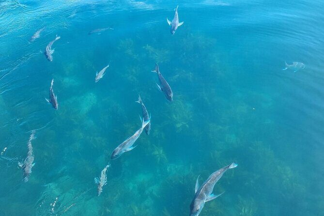 Cathedral Cove 2 Hour Guided Tour Explore Marine Wonders - Who Will Love This Tour?