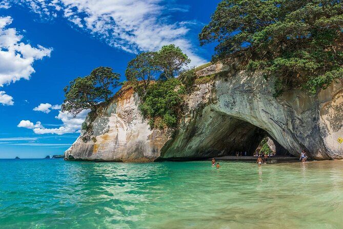 Cathedral Cove and Hot Water Beach Private Tour - Good To Know