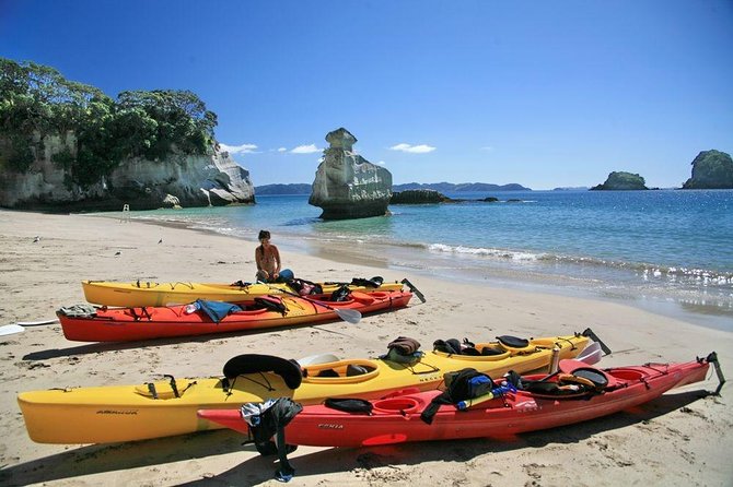 Cathedral Cove Classic Kayaking Tour - Meeting and Pickup