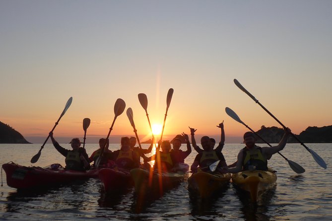 Cathedral Cove Classic Kayaking Tour - Additional Information