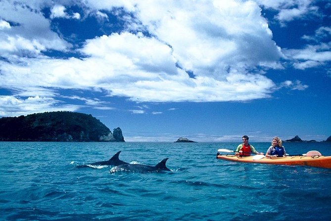 Cathedral Cove Classic Kayaking Tour - Marine Life