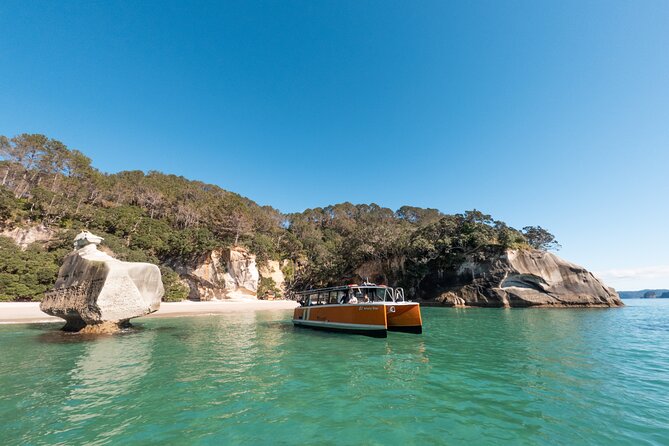 Cathedral Cove Coast and Cave Activity - Booking and Accessibility