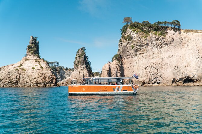 Cathedral Cove Coast and Cave Activity - The Sum Up