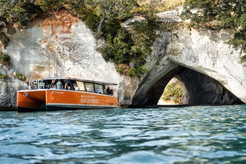 Cathedral Cove Coast and Cave Tour - Practical Details and Tips