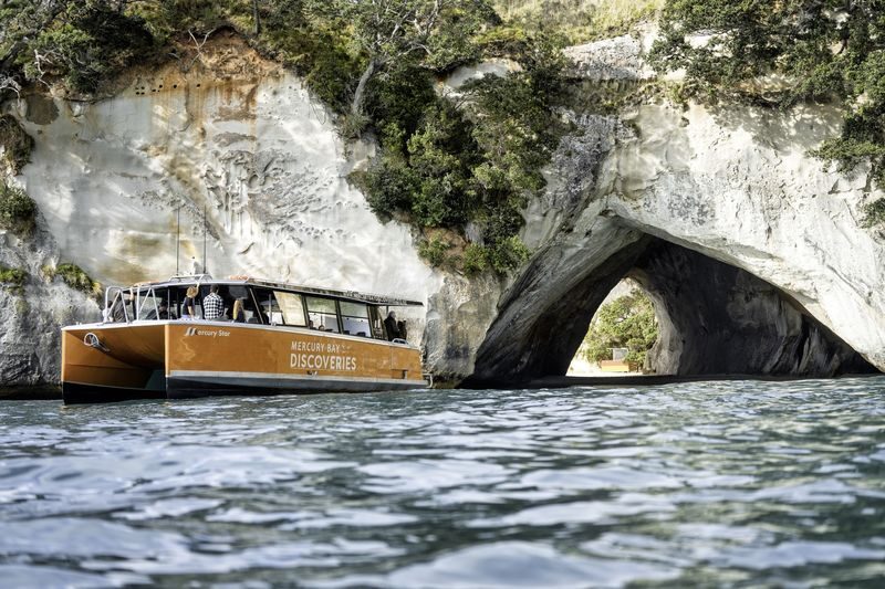 Cathedral Cove, Coast & Cave Tour - At a glance: the parts that matter