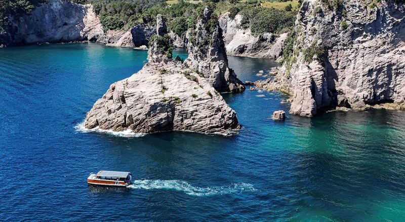 Cathedral Cove, Coast & Cave Tour - Who will get the most from this cruise