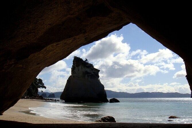 Cathedral Cove & Coromandel Private Experience from Auckland - Good To Know