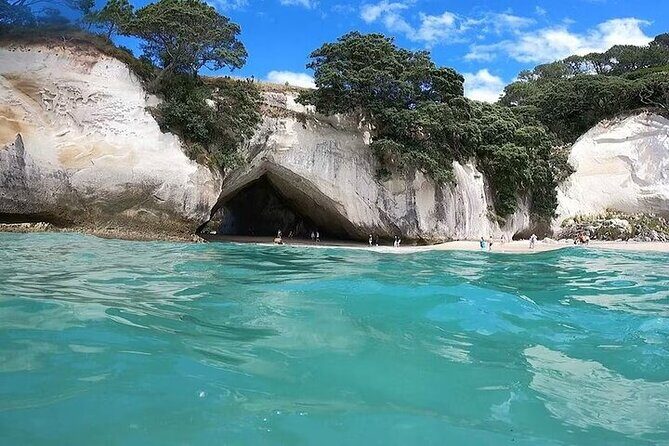 Cathedral Cove & Coromandel Private Experience from Auckland - Why Choose This Tour?