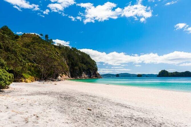 Cathedral Cove & Coromandel Private Experience from Auckland - Who Is This Tour Best For?