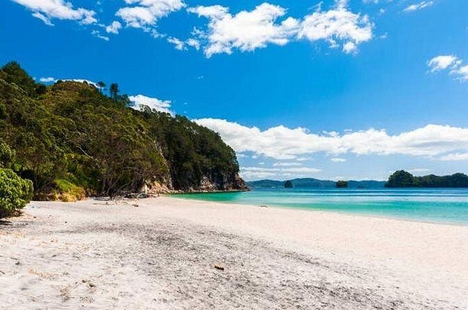 Cathedral Cove & Coromandel Private Experience from Auckland - FAQs